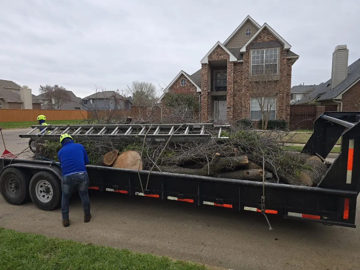 Expert Tree Fertilization with proper safety equipment in Archibald